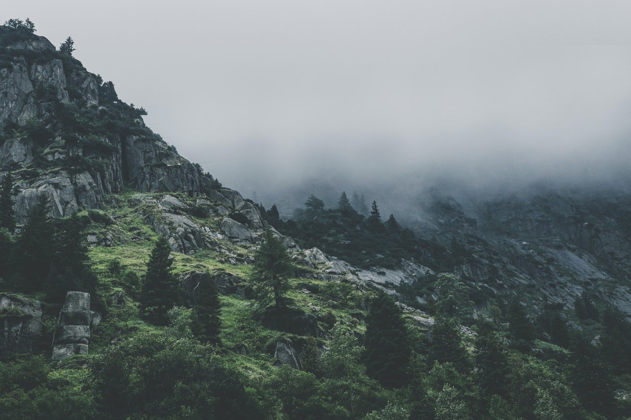 Placeholder for a green, cloud-covered monsoon landscape in Bir