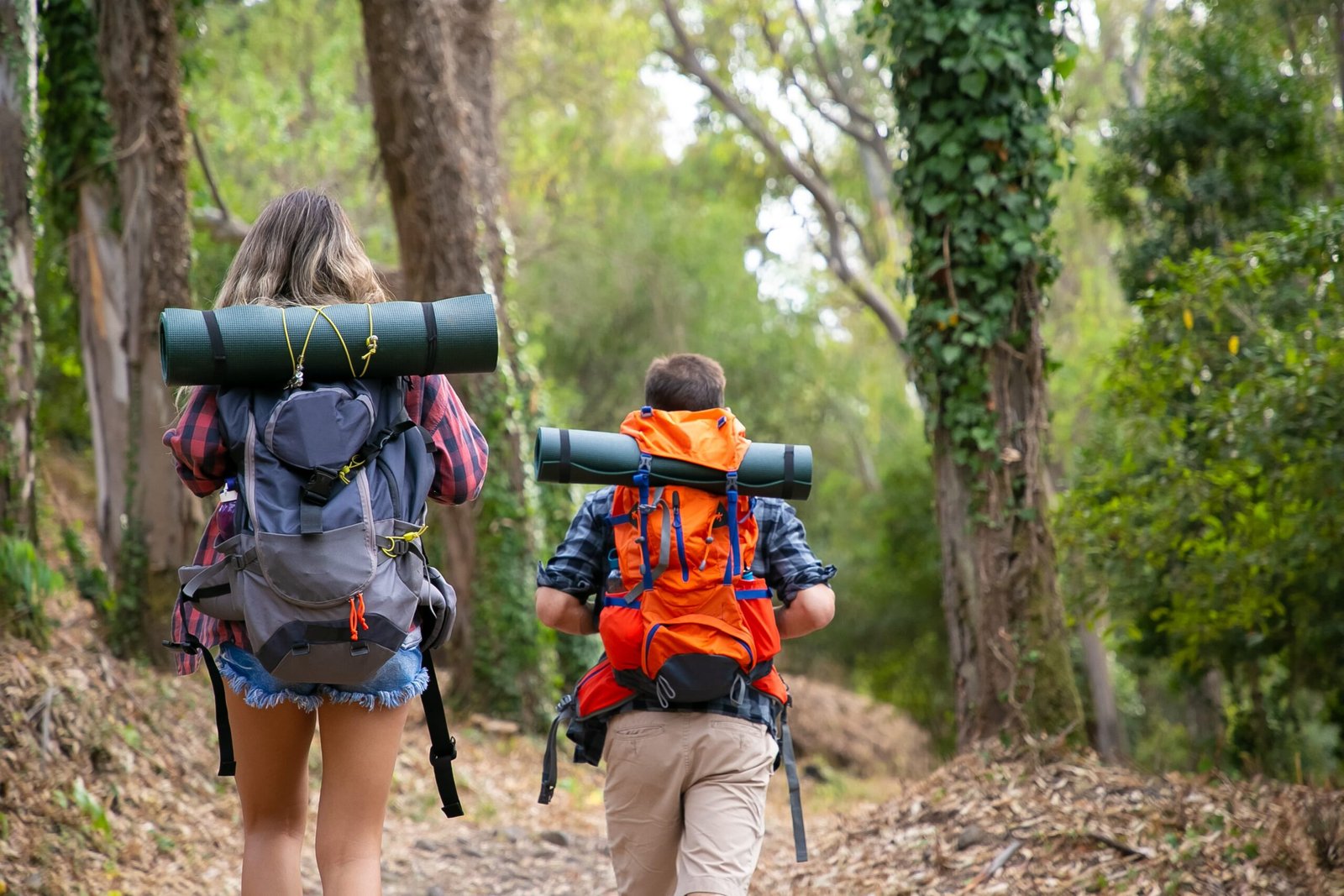 Guided trekking in Bir