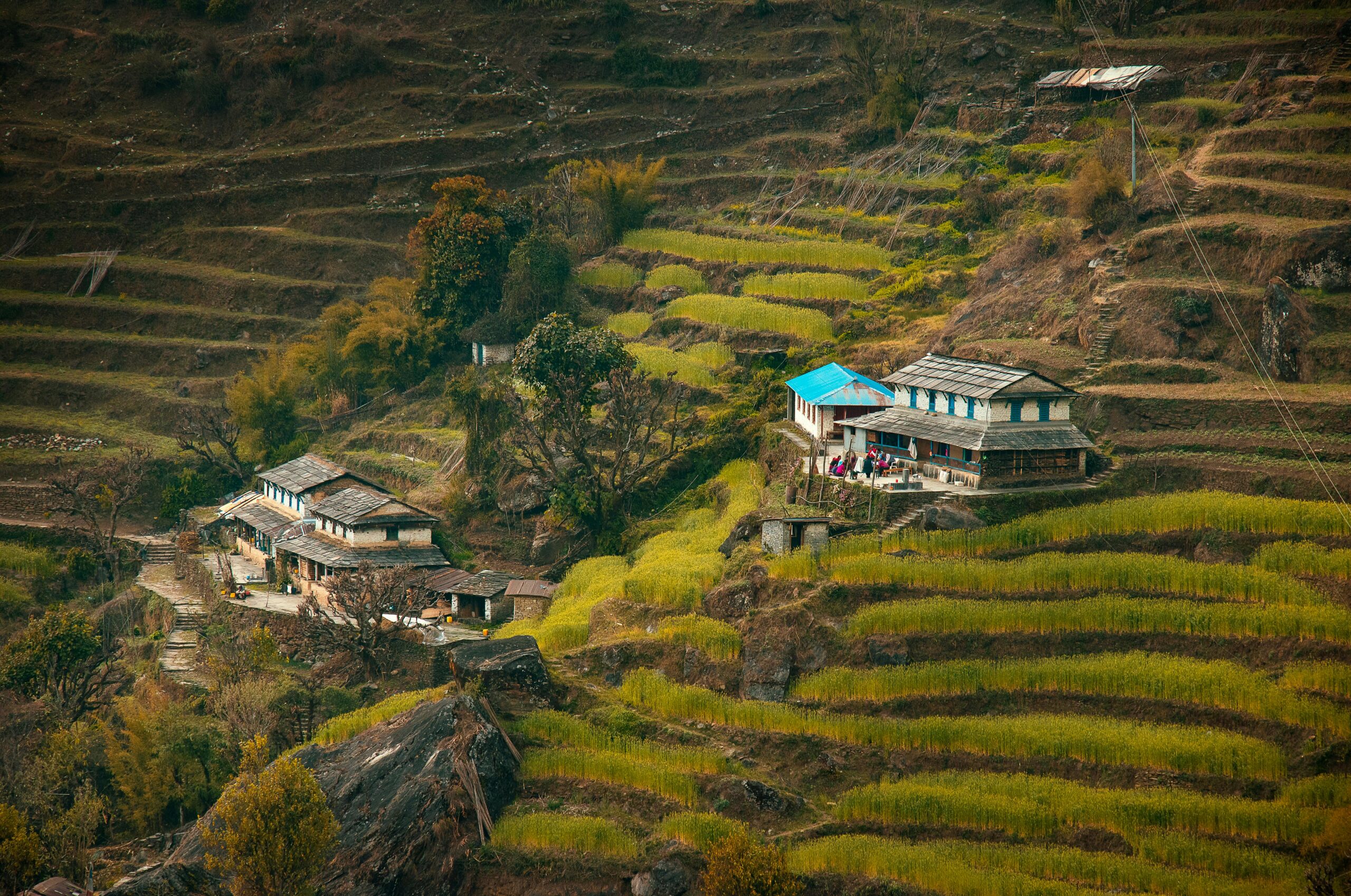 History and culture of Bir Billing
