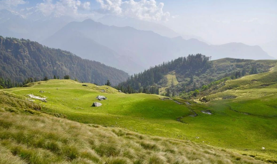 Fresh green fields and hills around Bir in spring