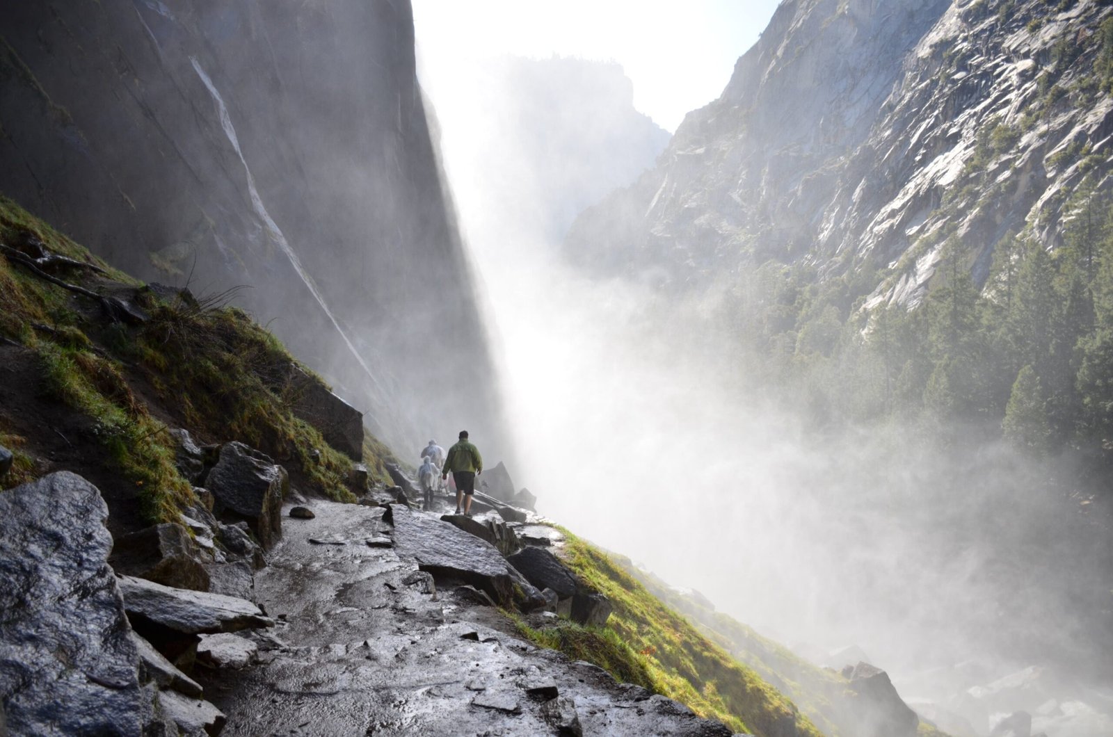 Trekking near Bir
