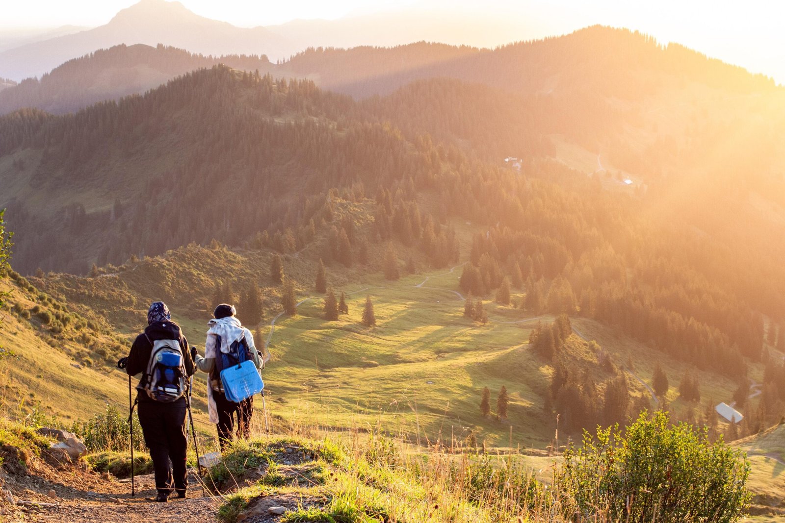 Trekking near Bir